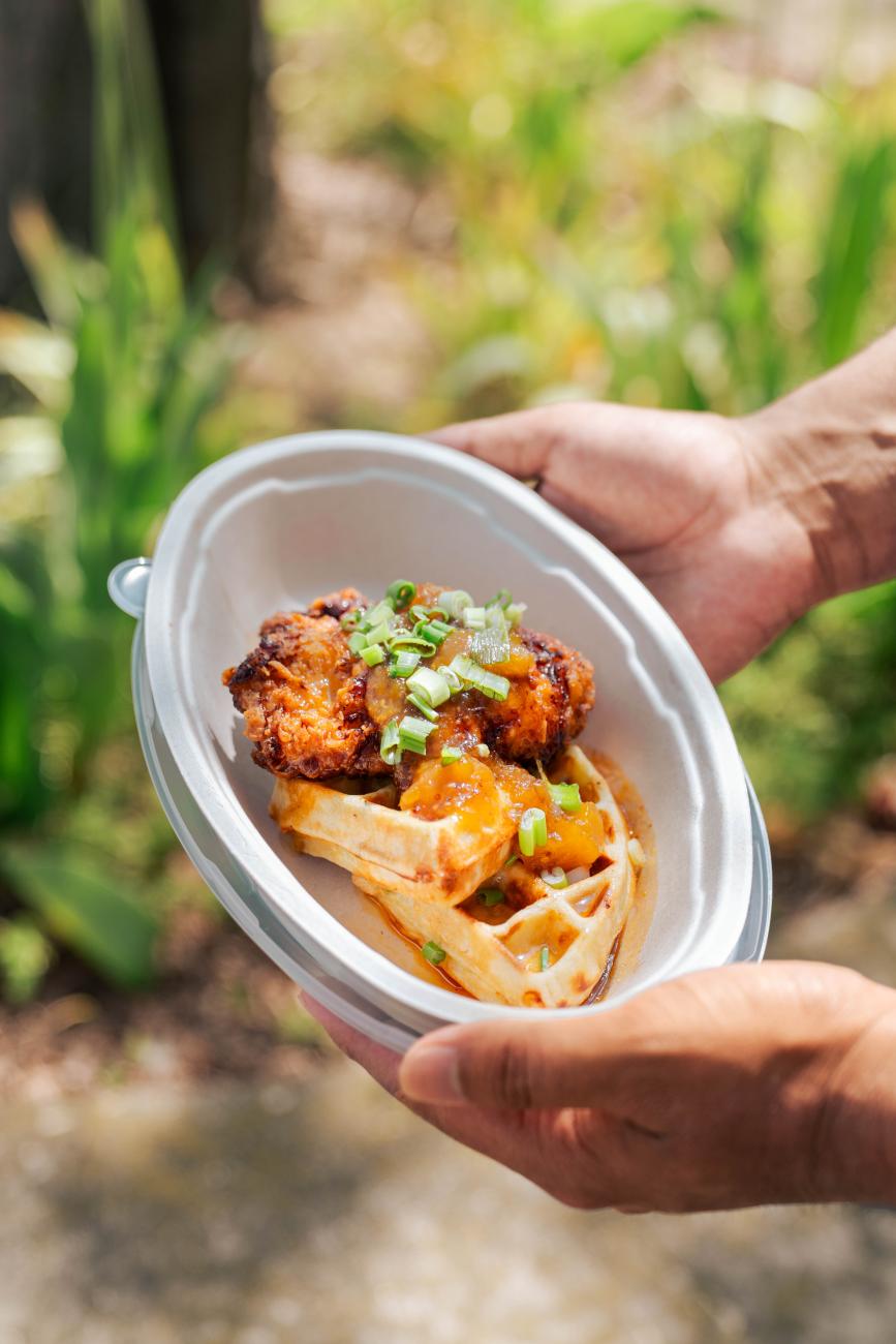 chicken and waffles.